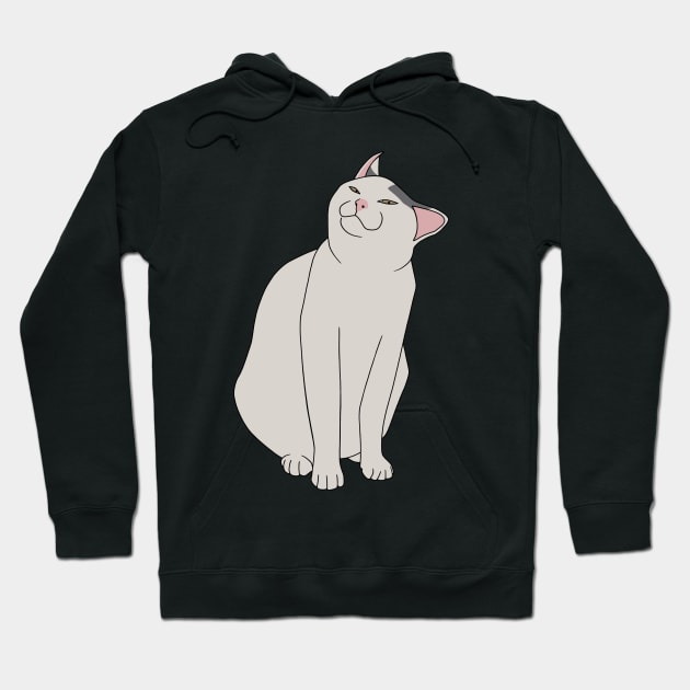 SMUG CAT MEME Hoodie by gin3art